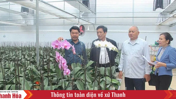 Người tiên phong ứng dụng nông nghiệp tuần hoàn