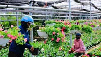 Một ngày trải nghiệm thu Hà Nội với tour riêng