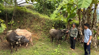 Hành trình đổi thay ở Mậu Duệ