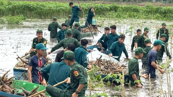 Bộ đội Biên phòng tỉnh An Giang giúp dân thu hoạch hoa màu, đắp đê chống ngập