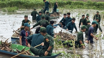 Đồn Biên phòng Vĩnh Điều giúp dân thu hoạch hoa màu chạy lũ