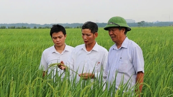 Xây dựng chuỗi liên kết khép kín, phát triển nông nghiệp sinh thái