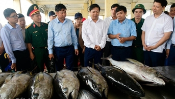 Bí thư Tỉnh ủy Lương Nguyễn Minh Triết kiểm tra công tác chống khai thác IUU