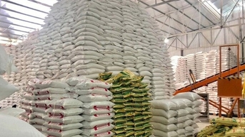 Xuất cấp 300 tấn gạo và thiết bị cứu sinh cho Huế