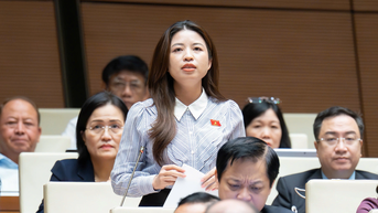 Áp lực nhiều giáo viên không phải đồng lương, mà là 'nỗi sợ' bạo lực học đường