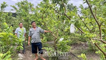 Làm giàu từ nông nghiệp hiện đại