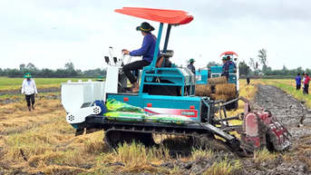 Bàn giải pháp phục hồi và nâng cao sức khỏe đất trồng lúa