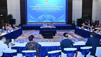 Động lực mới cho kinh tế tư nhân khi vươn ra thế giới