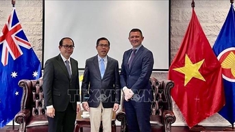 Việt Nam và Australia đẩy mạnh hợp tác phát triển lúa gạo