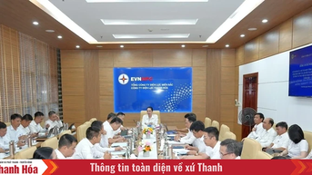 Chủ tịch HĐTV EVNNPC Đỗ Nguyệt Ánh làm việc với Công ty Điện lực Thanh Hóa