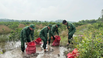 Đồn Biên phòng Mỹ Thạnh Tây khẩn trương giúp dân phòng, chống lũ
