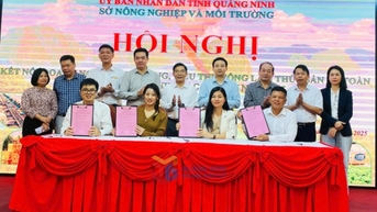 Hội nghị kết nối cung ứng, tiêu thụ nông, lâm, thuỷ sản an toàn