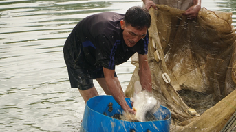 Nhọc nhằn nghề cá