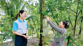 Tạo sinh kế bền vững - nền tảng để giảm nghèo