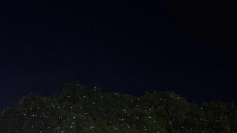 Giải mã cây đom đóm Huế: Điểm check-in ảo diệu bên sông Hương