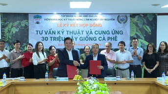 Tập đoàn HAGL và Viện WASI ký kết hợp đồng tư vấn kỹ thuật và cung ứng 30 triệu cây cà phê chất lượng cao
