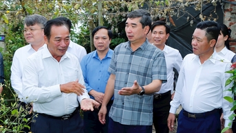 Kiến An đề nghị xây dựng thí điểm mô hình 'Phường đô thị xanh - chuyển đổi số toàn diện'