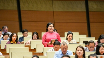 Đặt văn hóa ngang hàng với kinh tế và chính trị để phát triển bền vững