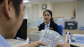 Thanh, kiểm tra hoạt động mua bán ngoại tệ của các tổ chức tín dụng