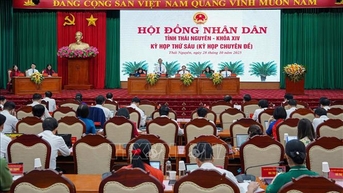 Cơ cấu, thành phần người được giới thiệu ứng cử đại biểu Hội đồng nhân dân