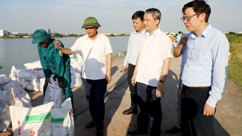 Tập trung cao xử lý điểm sạt lở bờ đê sông Ngũ Huyện Khê tại xã Tiên Du