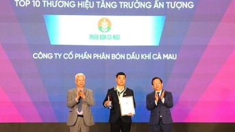PVCFC: 2025년까지 인상적인 성장으로 상위 10대 브랜드 달성