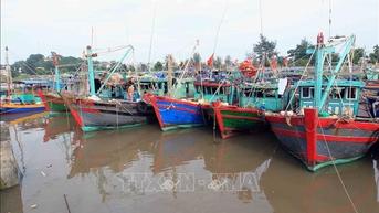 Hai Phong៖ ធានាសុវត្ថិភាពទំនប់ទឹក ឆ្លើយតបយ៉ាងសកម្មចំពោះព្យុះ MATMO