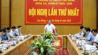 Hội nghị lần thứ nhất, Ban Thường vụ Tỉnh ủy khóa XX, nhiệm kỳ 2025 - 2030