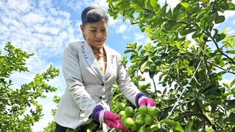 Xây dựng và phát triển văn hóa - Kết quả một hành trình