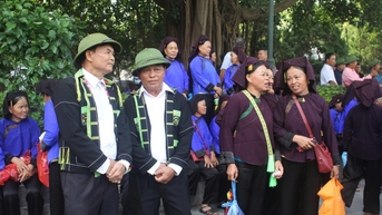 ហង្ស ពិន តែងតាំង