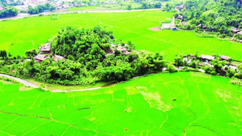 Phát huy giá trị nhà sàn đồng bào Tày ở Nghĩa Đô