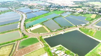Phu Tan ខិតខំ​អភិវឌ្ឍ​ឲ្យ​បាន​ពេញ​លេញ។