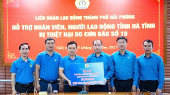 សហព័ន្ធការងារទីក្រុង Hai Phong បានបរិច្ចាគថវិកាចំនួន ៩០០ លានដុង ដើម្បីជួយដល់មូលដ្ឋានចំនួន ៦ ដែលរងការខូចខាតដោយព្យុះលេខ ១០។