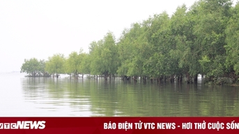 Hung Yen ឈោងទៅមហាសមុទ្រដើម្បី 'ហោះឡើង' ក្នុងយុគសម័យនៃការរីកចម្រើនរបស់ប្រទេស