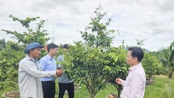 ការផ្តល់ឱកាសសម្រាប់ការអភិវឌ្ឍសេដ្ឋកិច្ចគ្រួសារពីដើមទុនគោលនយោបាយ