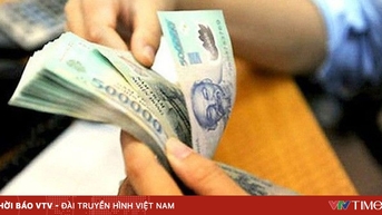 법령 제178호에 따른 정책 및 제도의 지급
