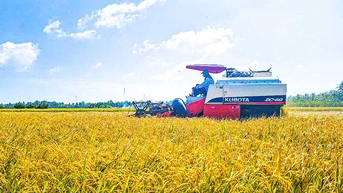 Phát triển nông nghiệp xanh, chất lượng cao