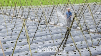 Vĩnh Mỹ: Từ vùng đất khó vươn lên xây dựng cuộc sống ấm no