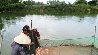 Lai Châu:Giảm nghèo, tạo động lực phát triển bao trùm