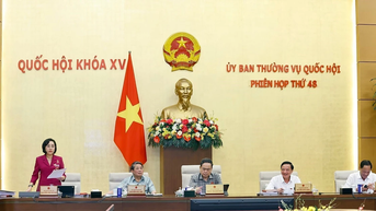 Hướng dẫn mới về cơ cấu, thành phần người được giới thiệu ứng cử đại biểu HĐND