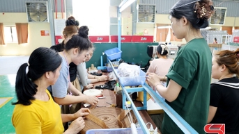 Hiệu quả công tác đào tạo nghề, hỗ trợ sinh kế cho đồng bào DTTS