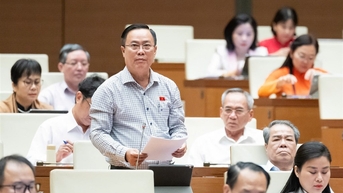 Đại biểu Quốc hội tỉnh Cà Mau tham gia thảo luận toàn thể tại hội trường Kỳ họp thứ 10, Quốc hội khóa XV