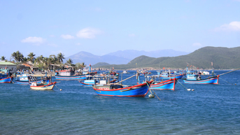 Bích Đầm - Hơi thở Phú Yên trong lòng biển Nha Trang