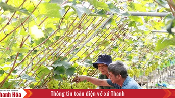 Tạo động lực để kinh tế tập thể phát triển bền vững