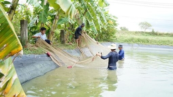 Lan tỏa tinh thần sản xuất nông nghiệp xanh, tuần hoàn