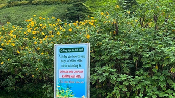 Chung tay gìn giữ vẻ đẹp mùa hoa dã quỳ – núi lửa Chư Đang Ya