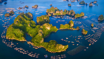 Quang Ninh បង្កើតយន្តការពិសេសសម្រាប់ Van Don