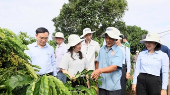 Phát huy vai trò khuyến nông trong kiến tạo nông nghiệp bền vững Tây Nguyên