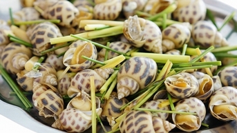 Ốc hương: Giá trị dinh dưỡng và lợi ích sức khỏe