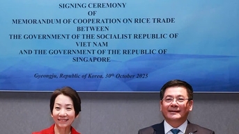 Việt Nam – Singapore thúc đẩy thương mại gạo